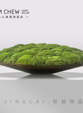 新中式现代永生苔藓盆景微景观酒店售楼处餐桌茶几摆件桌面家饰品