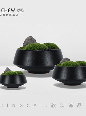 新中式永生苔藓绿植盆景微观小盆栽洽谈桌会议茶几博古架餐桌摆件