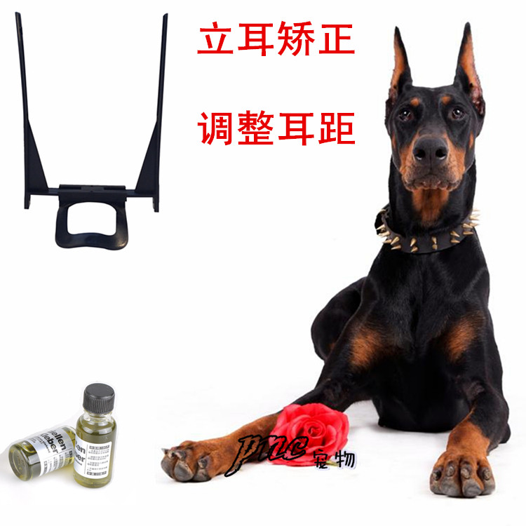 德牧柯基杜宾卡斯罗黑背大丹狼狗绑耳朵距矫正器支架立耳贴棒胶水