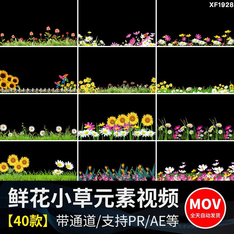 卡通小花草丛元素鲜花朵穿梭向日葵摆动MOV透明通道动态视频素材