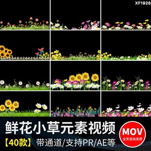 卡通小花草丛元素鲜花朵穿梭向日葵摆动MOV透明通道动态视频素材