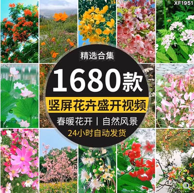 竖屏花卉桃花荷花鲜花盛开花朵自然风景抖音高清自媒体短视频素材