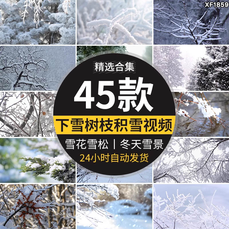 冬季下雪冬日雪景雪松雪花树枝积雪压枝头初雪空境特写短视频素材
