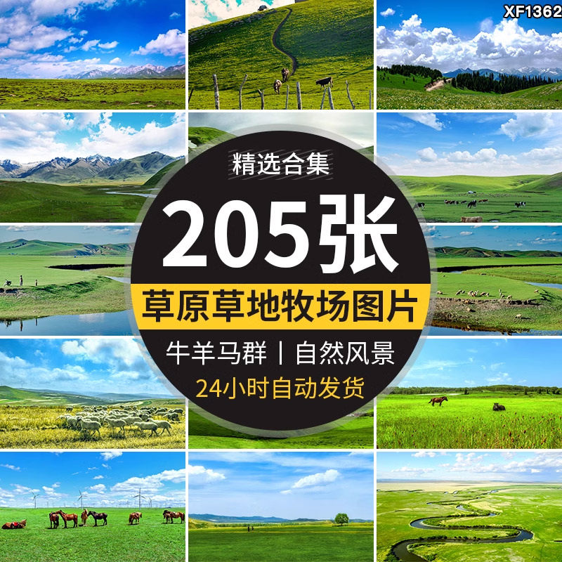 内蒙古呼伦贝尔大草原自然风景草地风光牛羊马群牧场摄影图片素材