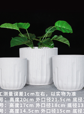 白色陶瓷小花盆家用桌面绿植摆件盆栽绿萝通用装饰送托盘百搭创意