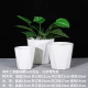 简约八方白陶瓷小花盆多肉绿植盆栽特大号送托盘室内阳台桌面摆件