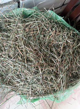 靰鞡草碎沫，断条草，长短不齐。