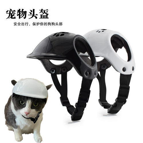 狗防撞头盔安全扮酷拍照