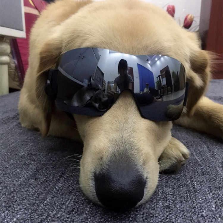 中大型犬专用防紫外线太阳镜宠物眼镜狗狗墨镜防风防晒超薄镜片