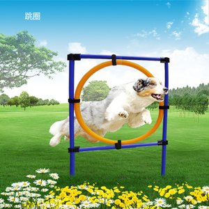 狗狗训练用品敏捷器材单杆跳高跳圈绕桩宠物户外训练器材三件套