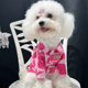 宠物衬衣泰迪雪纳瑞比熊柯基大型犬巨贵萨摩金毛狗狗衣服夏季 薄款