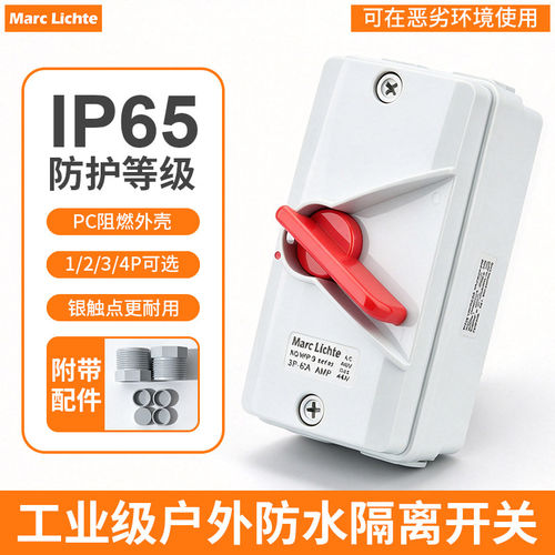 IP65户外防水隔离开关WP-R-1P2P3P4P63A40A35A20A大功率工业开关