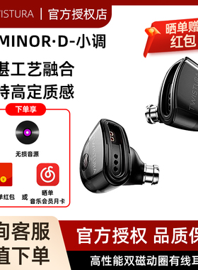 Twistura 逆转未来 D-MINOR D-小调 入耳式可换线HiFi耳机