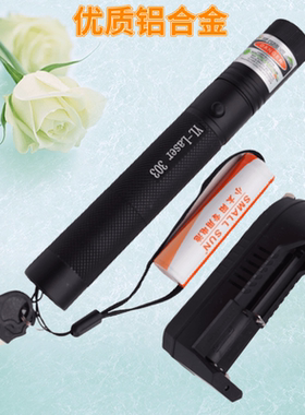 303大功率USB多功能充电绿色满天星售楼镭射激光笔/教鞭/指示沙盘