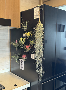 isn风磁吸冰箱贴空气凤梨铁艺圈装饰挂件现代简约厨房冰箱贴