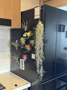 isn风磁吸冰箱贴空气凤梨铁艺圈装饰挂件现代简约厨房冰箱贴