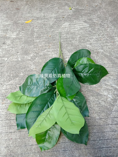 仿真高山榕叶子仿生柚子树叶大叶子绿植造景装饰假树绑叶工程造景