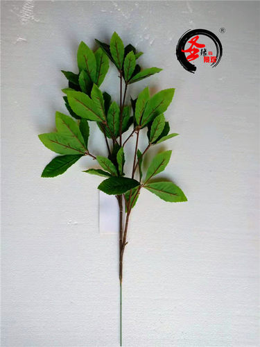 枸杞叶仿真树叶子假枸树叶短柄枸叶影视拍摄道具人造绿叶小树枝