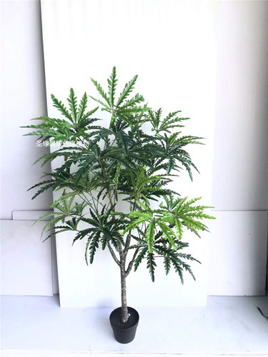 ab孔雀木仿真假锯齿叶北欧ins落地盆栽景仿生树客厅电视柜旁装饰