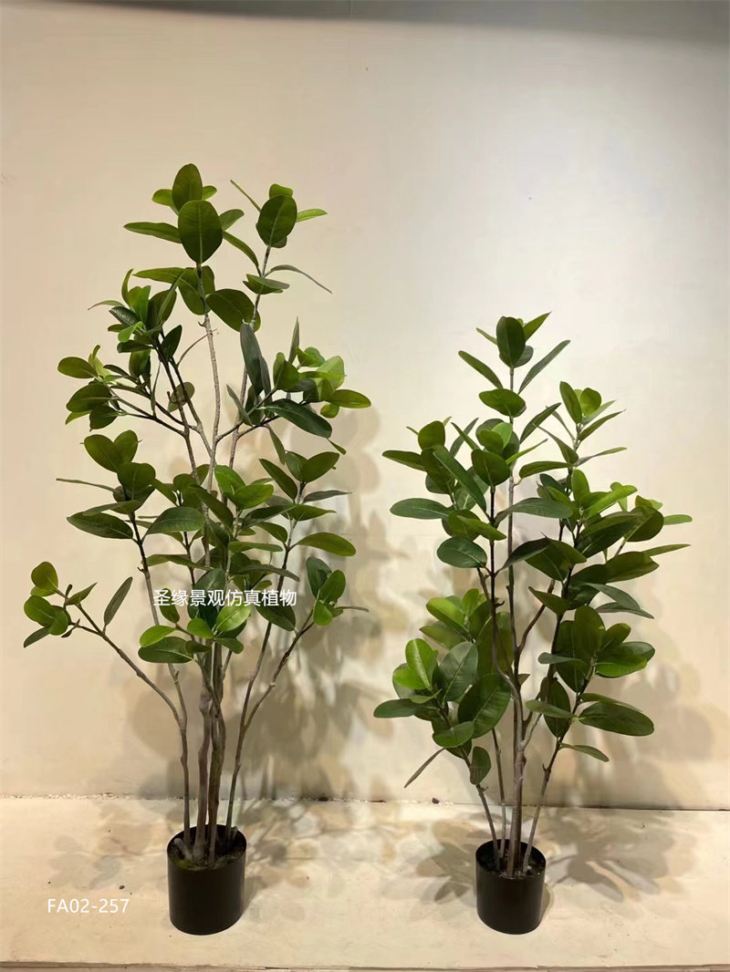 仿真福木兰盆栽北欧风轻奢室内装饰假绿植塑料福木树庭院摆件花艺