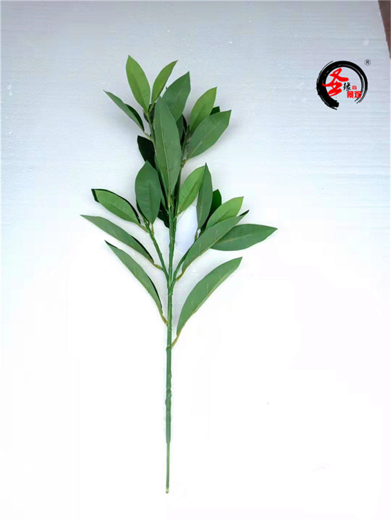 紫荆木仿真滇木花生树叶图片