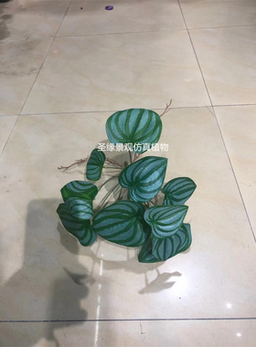 仿真带根绿植西瓜叶龟背竹叶海棠叶仙芋叶孔雀竹芋软装小植物搭配