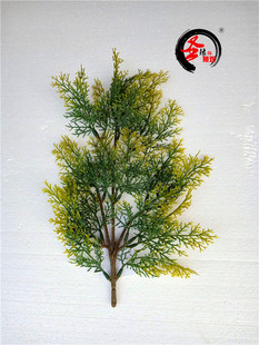 仿真柏树枝扁柏叶侧柏枝龙柏枝崖柏塑料塔柏迎客松叶微景观造景叶