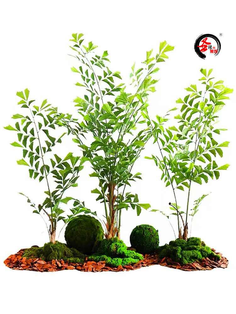 仿真鱼尾葵盆栽鱼尾叶仿生绿植餐厅软装室内造景落地花艺摆件装饰