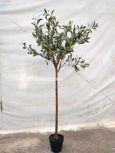 仿真橄榄树塑料盆栽油橄榄树北欧ins风绿植假花客厅装饰假树盆景