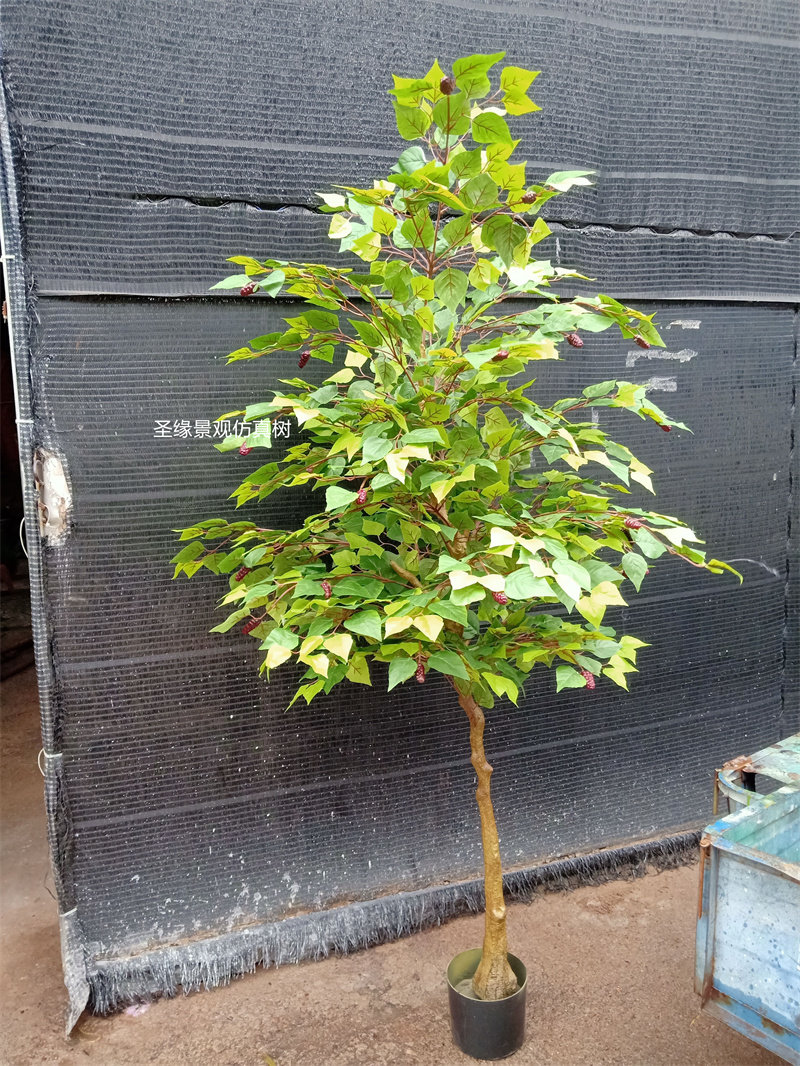 仿真桑树桑葚树水果树盆栽超市果园仿生绿植装饰造景摆件落地花艺