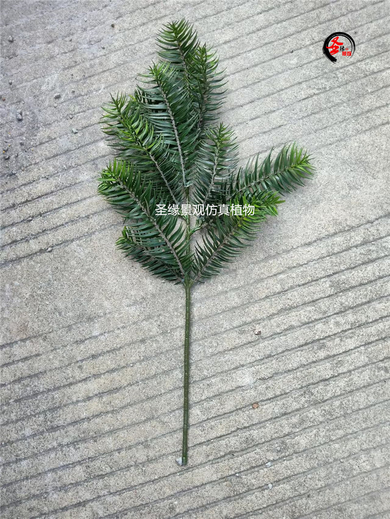 仿真杉树叶红豆杉树枝云杉叶油杉水杉木刺杉叶工程造景假树枝叶子