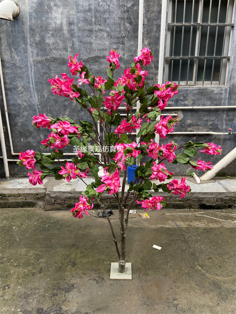 仿真紫荆花树香港紫荆树红花春季造景假花树房间背景落地摆件装饰