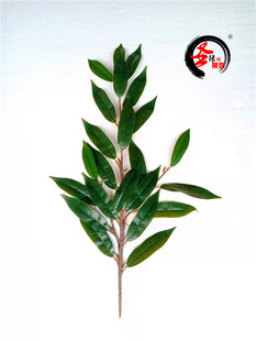 仿真橡树叶栲树叶子丝栗树叶坚果树枝绿叶长尖叶塑料树枝换叶装饰