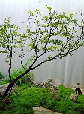 仿真栀子树假树海岛春花树假树
