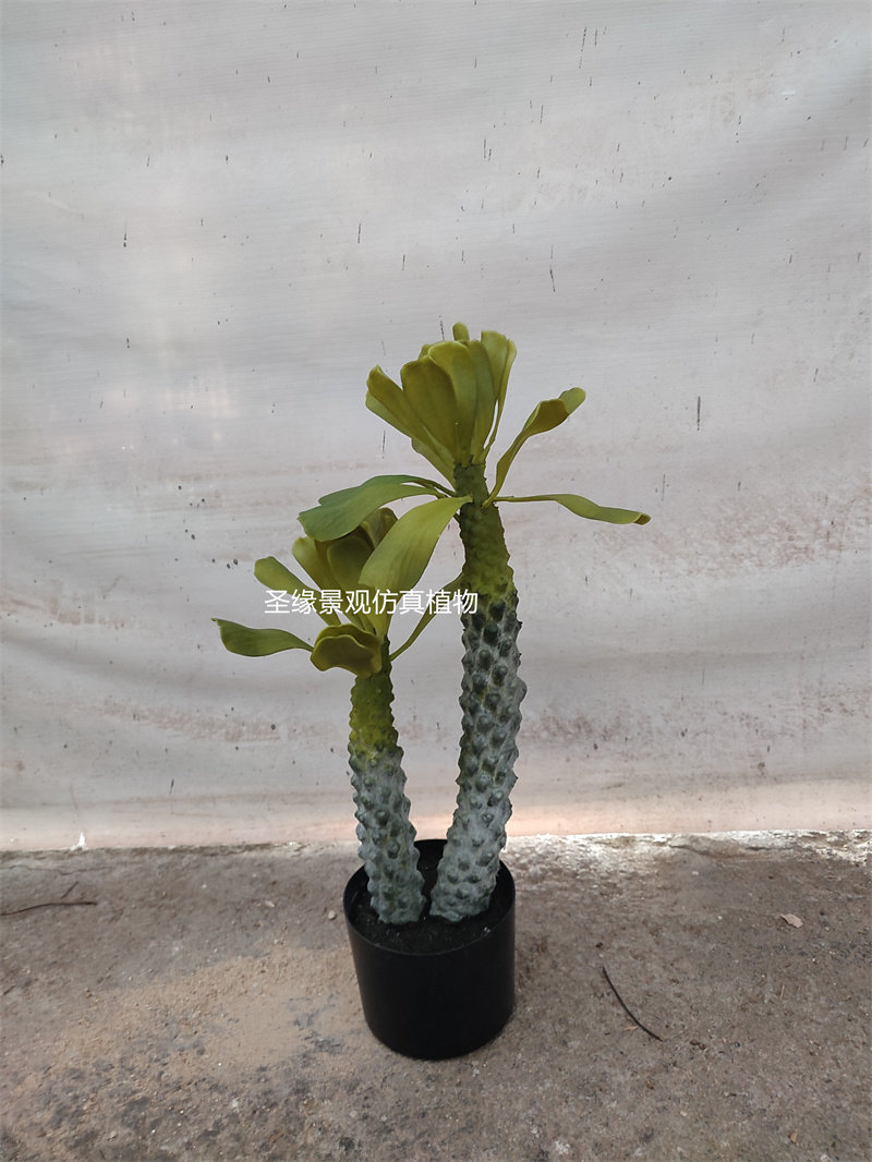 仿真霸王鞭树假绿植霸王树盆栽景阳台橱窗书房陈列装饰塑料花摆件