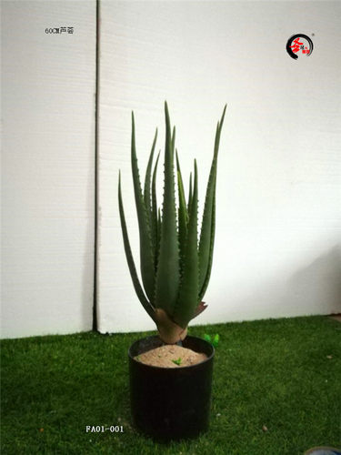 仿真盆栽芦荟摆件绿植橱窗