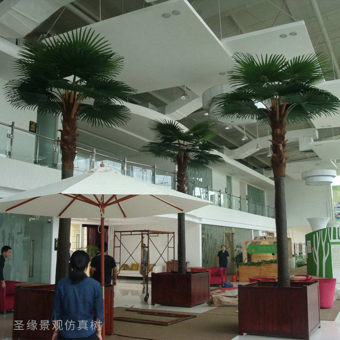仿真蒲葵树定做仿真老人葵树假老人葵树室内玻璃钢假树室外蒲葵树