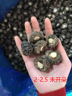 2.5厘米不开朵 冬菇蘑菇农家特级散装 2023年新小香菇 干货250g