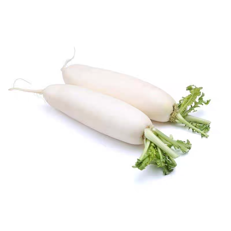夏季耐热白玉萝卜大白萝卜种子
