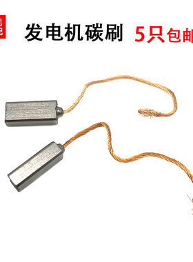 适配于帕萨特B5领驭 老款桑塔纳3000 志俊 发电机碳刷包邮配件
