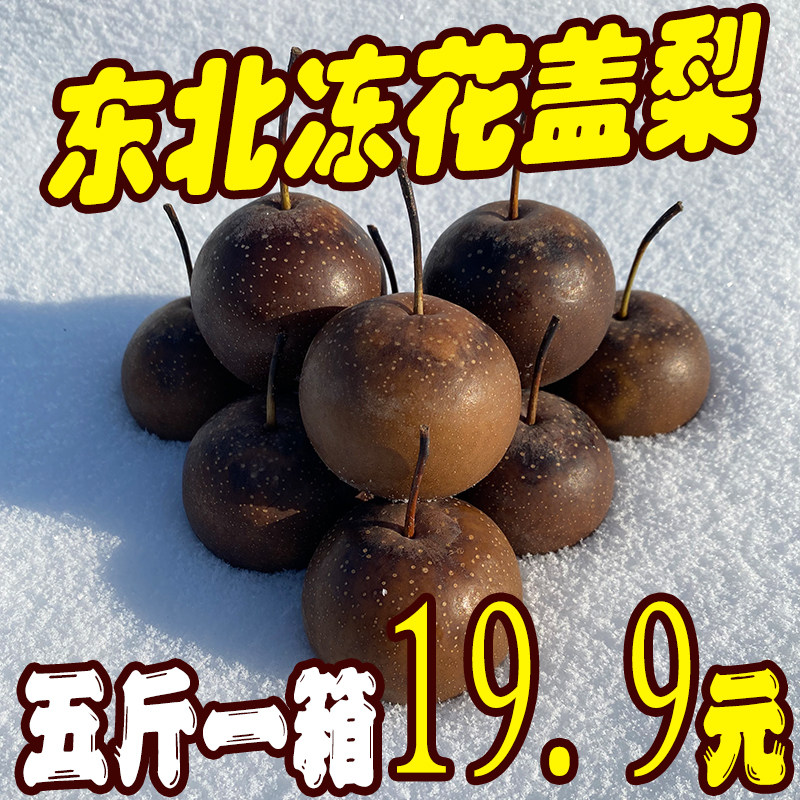 冻花盖梨 东北年货小时候味道老式冷冻酸甜梨花梨黑龙江特产包邮