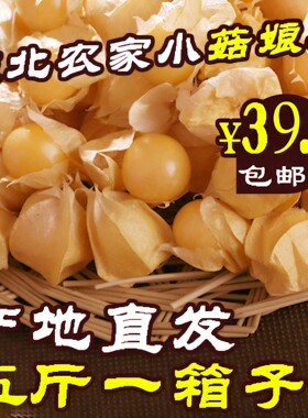 东北姑娘果薄皮小金豆黑龙江特产