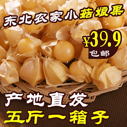 东北姑娘果薄皮小金豆黑龙江特产