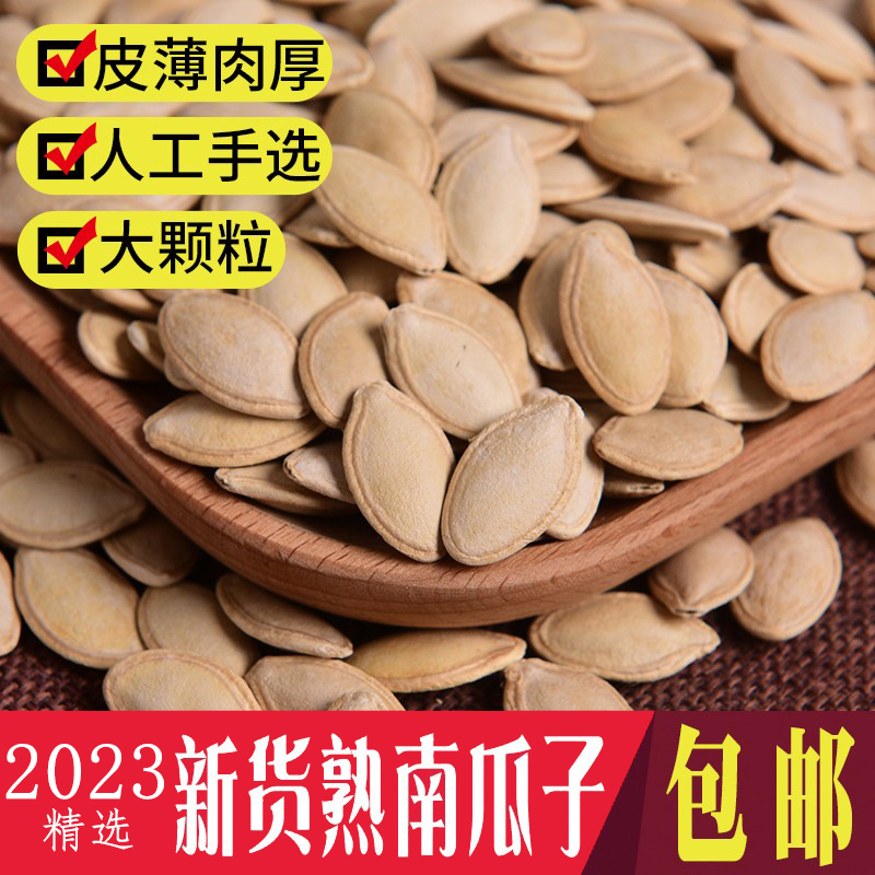 2023新货带壳炒货大片南瓜子