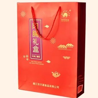 靖江特产向阳牌猪肉脯520礼盒装（130g×4）