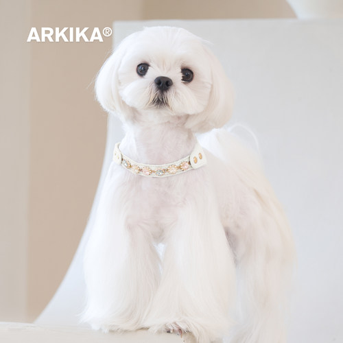 ARKIKA小型犬狗狗胸背带牵引绳比熊泰迪遛狗牵引绳轻便简约不勒脖