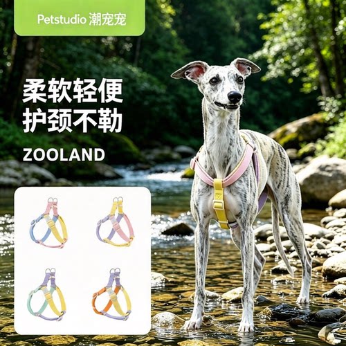 ZOOLAND狗狗胸背带牵引绳防挣脱