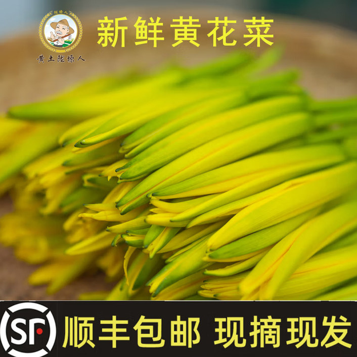 新鲜黄花菜野生金针菜农家野菜