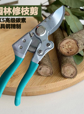 电镀锰钢剪刀园林园艺工具修枝剪家用摘果剪柑橘桔子葡萄采果枝剪
