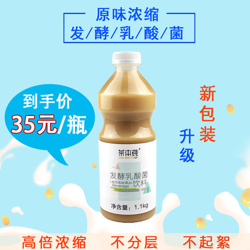 原味浓缩奶茶店专用乳酸菌饮品